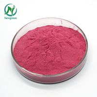 Groothandel Bulk Organische 100% Water Oplosbaar Rood Dragon Fruit Poeder