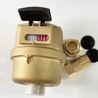 Residential Use DN15/DN20 Brass Mechanical Volumetric Piston Cold Water Flow Meter
