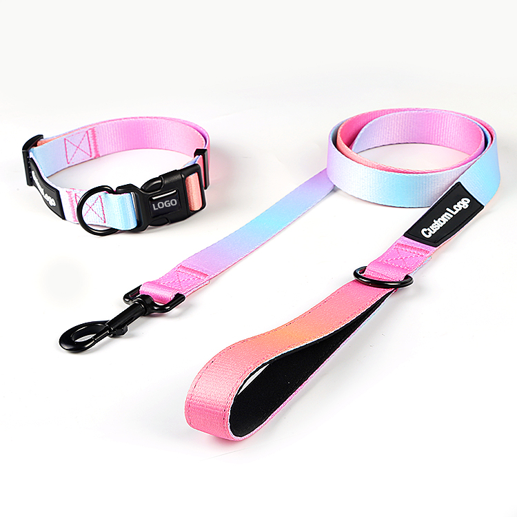 Dog Leash Manufacturer Custom Logo Pattern Neoprene Padded Handle Dog Lead Pet Collars Leashes Custom Pet Dog Leash