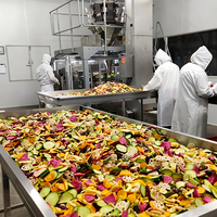High-End YIHAI PLC Vacuüm Laagtemperatuur Friteuse YHZK-50 50 Capaciteit Voedingsbehoudende Premium Snackverwerkingsapparatuur