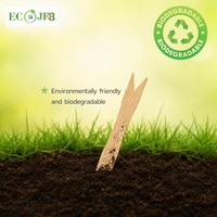Fourchettes à frites jetables en bois naturel à deux dents, plusieurs tailles (85mm, 95mm, 120mm, 140mm) pour la restauration rapide