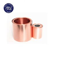 Bobine de bande d'en cuivre de bronze de phosphore de CuSn6 C51900 QSn6.5-0.1