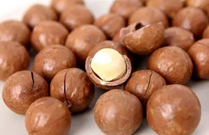 Wholesale Organic Raw Macadamia Nuts In Multiple Flavors Dried And Bulk Including Magnolia And Raw Fruit Flavors