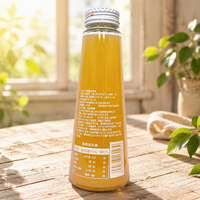 Groothandel Yacon Wortelsap Ginseng Gember Essentie Natuurlijke Smaak Suiker Vrij Zonder Conserveermiddelen 280ml Enkel Fles
