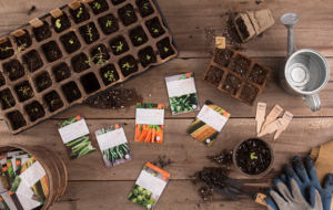 Veggie Patch Country Starter Kit Square Multi-Pack Juego de plantas para jardín Incluye lechuga Sandía <span class=keywords><strong>Remolacha</strong></span> Uso del piso colgante - Product Image 6