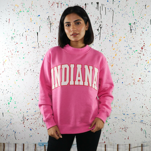 เสื้อฮู้ด Indiana สีชมพูขาว แต่งลายปัก ทรงปกติ ผ้าฝ้าย 100% เนื้อหนา ทันสมัย เหมาะสำหรับฤดูหนาว สำหรับผู้ชาย ด้ายคุณภาพดี - Product Image 1
