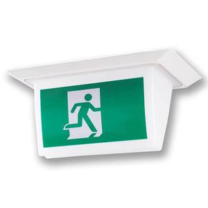 Diode électroluminescente d'urgence personnalisable, pratique, étanche IP65, avec source lumineuse à patch - Product Image 1