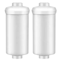 Remplacement pour le filtre à eau B-ERKEY Gravity Big Light Crown Imperial Systems, élément de réduction du fluorure et de l'arsenic PF-2, 2 pièces