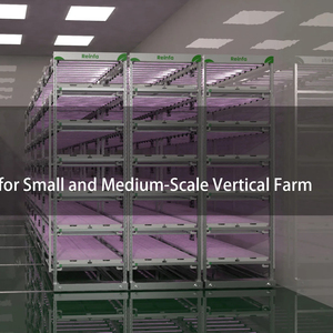 Dọc phát triển hệ thống Rack Canada thị trường Ống thép không gỉ lưu trữ thủy canh kệ - Product Image 2