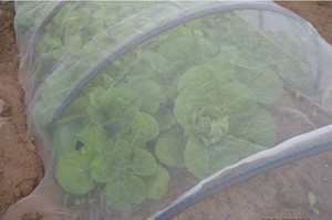 شبكة زراعية مضادة للحشرات/مالا أنتيفيدا - Product Image 4