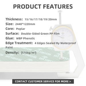 Foglio di <span class=keywords><strong>compensato</strong></span> rivestito <span class=keywords><strong>in</strong></span> PP verde pannello di cassaforma <span class=keywords><strong>in</strong></span> calcestruzzo 18mm WBP colla fenolica durevole e riutilizzabile - Product Image 3
