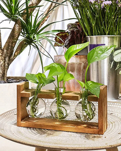 Dropshiping Plant Terrarium With Wooden <b>Stand</b> Desktop Glass Planter Bulb Vase Hydroponics Holder Propagation Station - Product Image 4