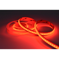 Bande LED RGBW multi-CCT certifiée UL CE, très vendue en Europe et aux États-Unis - 784 LED/M, haute luminosité, adhésif 3M