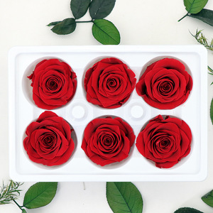 Rosas Preservadas de Calidad AA, Flores Eternas de Larga Duración, Suministro al por Mayor para Artesanías Florales y Regalos - Product Image 4