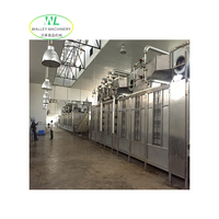 Déshydrateur automatique industriel à air chaud en acier inoxydable pour légumes et fruits, grande capacité, prix usine Walley