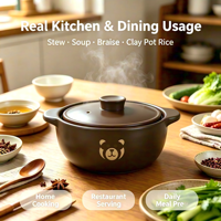 Marmite en céramique 4,8 L avec couvercle en céramique, résistante à la cuisson à sec, compatible lave-vaisselle, non compatible induction, grande capacité, ensemble d'ustensiles de cuisson
