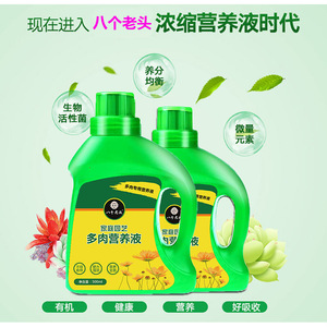Solución nutritiva específica para suculentas de 500 ml para raíces fuertes y hojas brillantes - Product Image 3