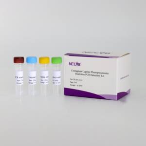 ערכת pcr פלורסנט רגישות גבוהה לזיהוי pleurosurדלקת בכבשים - Product Image 3