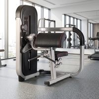 Machine à curls biceps avec banc de musculation et pilaire de poids sélectionnable pour flexions aux coudes assises et entraînement des biceps