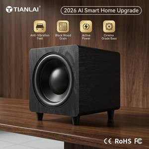 Tianlai D10 Woofers et systèmes de cinéma maison, caisson de basses actif de 10 pouces, amplificateur, haut-parleurs, système audio, son - Product Image 1