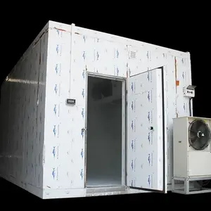 80mm sandwich panel high temperature mini cold storage room for fruit