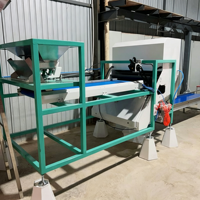 Éplucheuse d'ail automatique avec bande transporteuse réglable pour cuisine centrale / ligne de traitement d'ail commercial pour la restauration