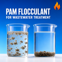 Supplier Bubuk Flokulan Anionic Polyacrylamide (APAM) Grosir dari Cina