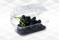 Machine de thermoformage automatique à grande vitesse Sinoplast pour plastiques PET/PP, pour barquettes, plateaux à œufs, boîtes à lunch, gobelets et couvercles