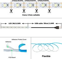Bande LED Ambilight pour téléviseur PC Dream Screen USB DC5V SMD2835 60LEDs/m, couleur unique personnalisée WW/PW/CW/rouge/vert/bleu