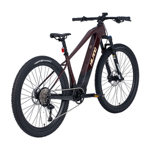 Bicicleta de Montaña JOYKIE de 29 Pulgadas, Nuevo Diseño, 250W, 36V, 15Ah, Motor Central, Frenos de Disco Hidráulicos, Pantalla TFT - Product Image 1