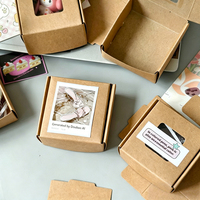 Boîte cadeau mini personnalisée en papier kraft recyclable avec fenêtre, design créatif de machine volante, pour chaussettes, fourrure, boutique, vente au détail, fête