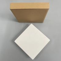 Panneau d'accès au plafond ABS Accessoires de porte Panneau d'accès pour cloison sèche taille de maintien 8x8 pouces