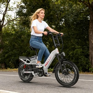 Entrepôt UE H7 Ultra Pliable Étanche 20 Pouces 7 Vitesses E pour Adulte H7 Ultra H7 Ultra - Product Image 1
