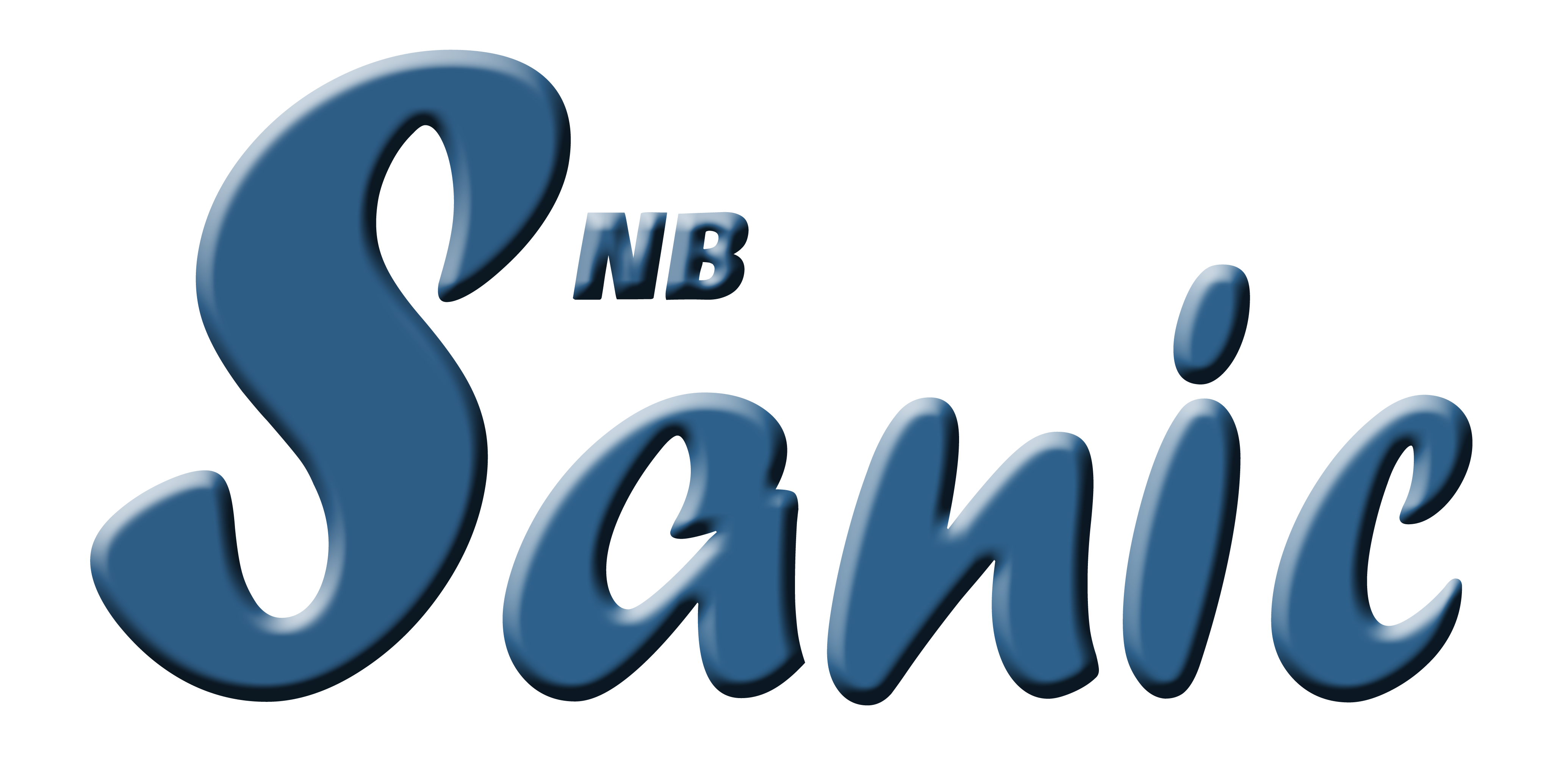 NINGBO SANIC TRADING CO., LTD logo