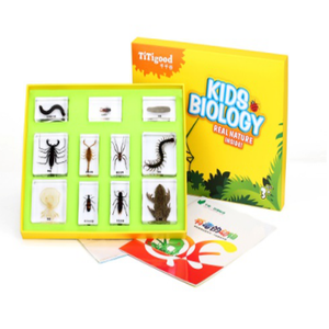 Gelsonlab HSKS-1724 de escarabajos de especímenes biológicos enseñanza integrado especímenes - Product Image 5