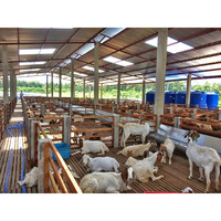 Abri pour élevage de chèvres préfabriqué bon marché Conception d'abris pour élevage de chèvres