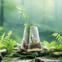 Verre transparent affichage de bureau Terrarium pot carré décor à la maison planteur pour la croissance des plantes hydroponiques salle à manger Vase