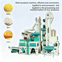 Machine à décortiquer le riz 1000 kg par heure Usine de décorticage du riz Installation professionnelle pour les entreprises moyennes