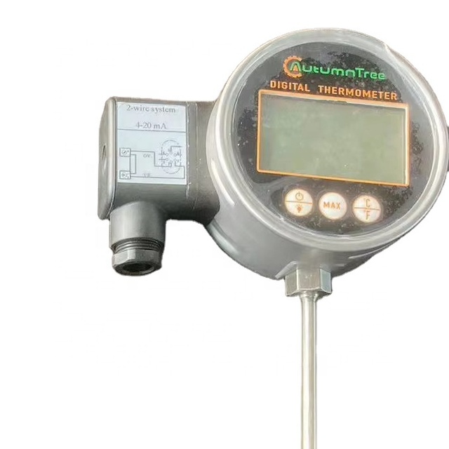 Output Digital Thermometer PT100 Temperature Instruments Capillary Digital Thermometer