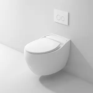 Badkamer Sanitair Closestool Floor Gemonteerd Smart Toiletpot Douche Toilet