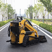Ce Epa Euro5 Diesel Home Garden Wheel International Mini Small Skid Steer Loader.