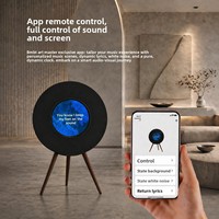 Altavoz Inalámbrico Suspendido BMBT Art Audio R1 para Vinilos, 100W, Alimentación CA, para Sala de Estar, Regalo de Inauguración de Casa