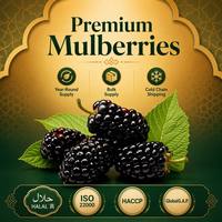 Gedroogde moerbeien, natuurlijk zoetzuur superfruit, premium snack, ingrediënt voor bakken en thee, GMP gecertificeerd, Gansu China, groothandel, bulk