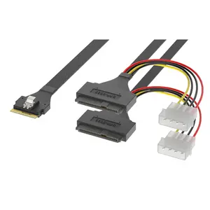 PCIe 4.0 SlimSAS 8i SFF-8654 Cable to 2 Mini SAS SFF8639 +15p Server Hard Disk Cable