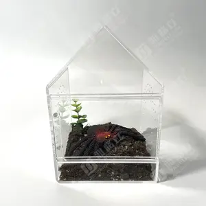 Custom Clear Acrylic Pet Reptile Cage Reptile Terrarium Cage For Lizard Spider For Display Only