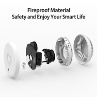 Detektor Asap Cerdas ZigBee Tuya Sensor Alarm Kebakaran Nirkabel Alarm Asap Sistem Keamanan Rumah Pintar Detektor Fotoelektrik OEM