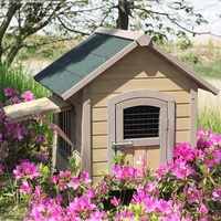 Nichoir de luxe en bois massif pour chien, résistant aux intempéries, avec fenêtre et porte coulissante, pour grands chiens, utilisable toute l'année
