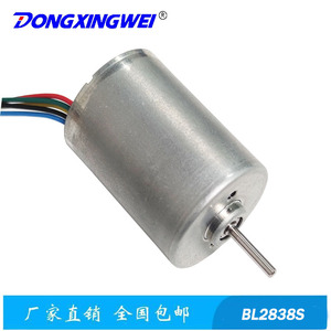 Motor Eléctrico Miniatura BL2838S sin Escobillas, Motor de CC de 36V o Menos, con Cables y Tipo de Montaje - Product Image 2