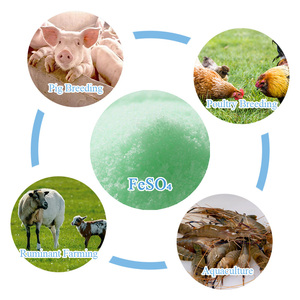 Thức ăn lớp sắt Sulfate Mono <span class=keywords><strong>feso4</strong></span> <span class=keywords><strong>H2O</strong></span> Chất lượng cao giá rẻ nhà máy nhà sản xuất thức ăn phụ gia cho động vật - Product Image 6