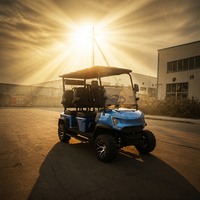 Voiturette de golf électrique Lavender Farm 2, 4 ou 6 places, moteur AC 48V 5KW, batterie au lithium, pour chariot de bouquets et chariot de séchage